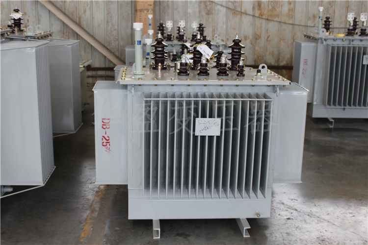 山东S20-800kVA/10kV/0.4kV变压器